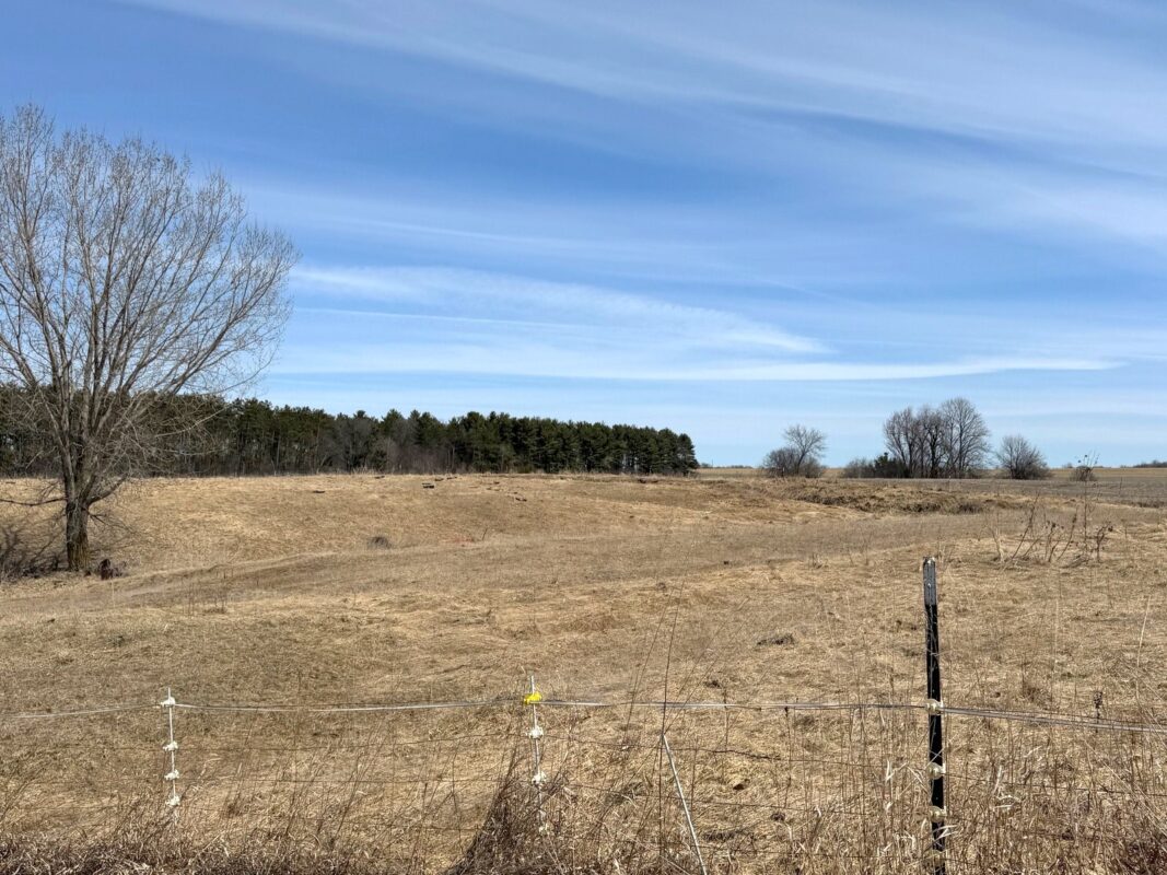 Residential at 820 14th Avenue, Almena, WI 54805 — photo 10