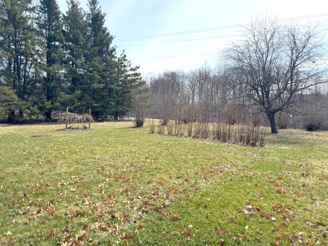 820 14th Avenue Almena WI 54805 — photo 37