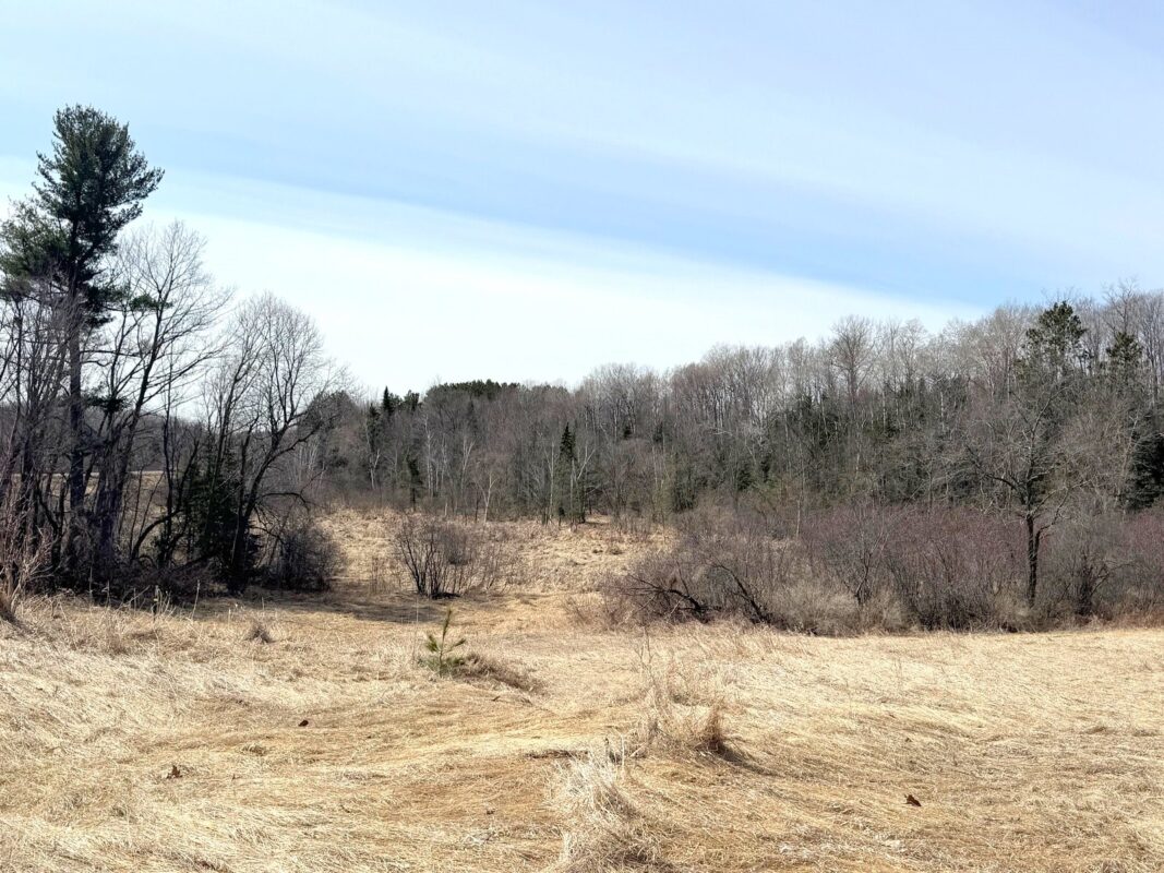 820 14th Avenue Almena WI 54805 — photo 42