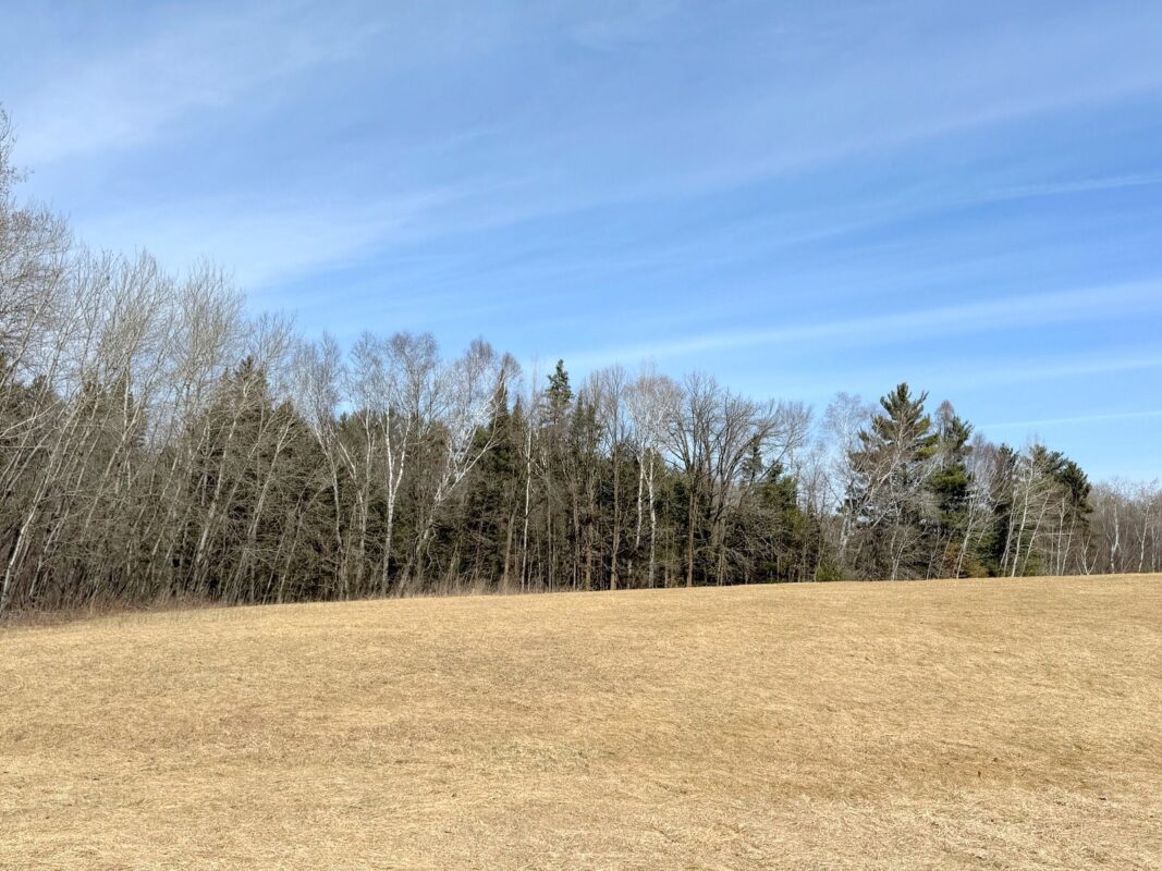 820 14th Avenue Almena WI 54805 — photo 44