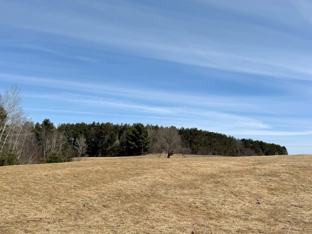 820 14th Avenue Almena WI 54805 — photo 45