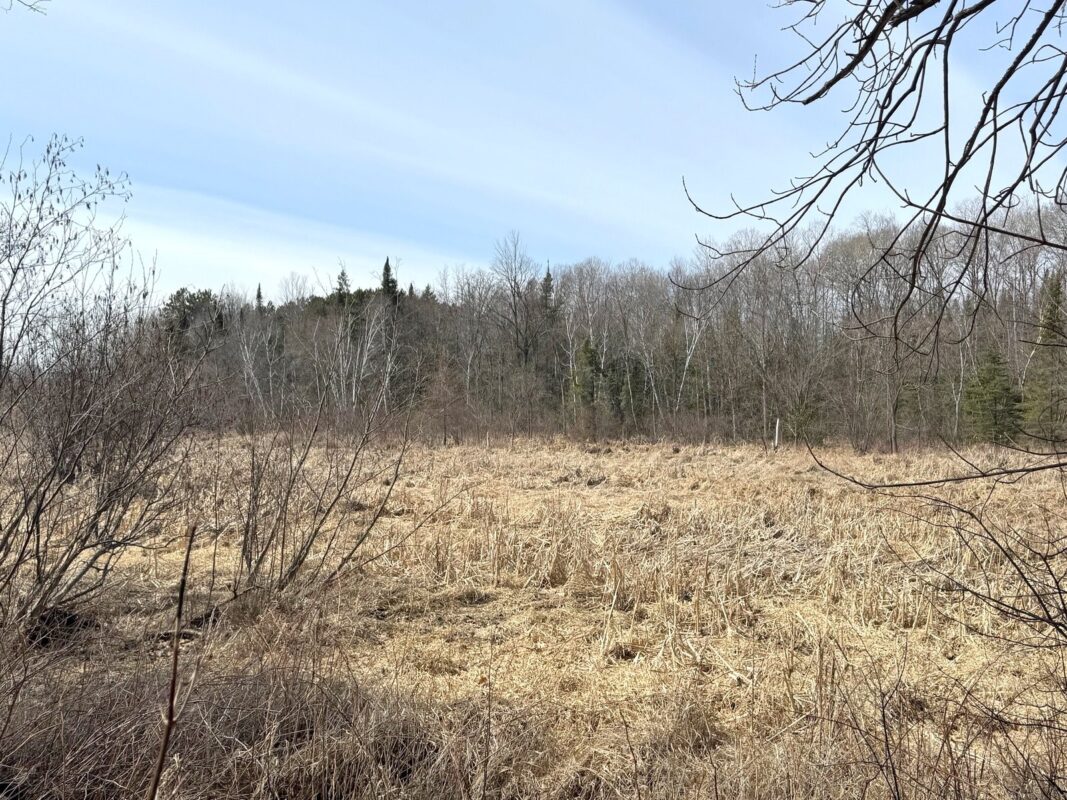 820 14th Avenue Almena WI 54805 — photo 46