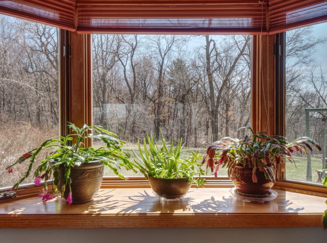 Residential at 8439 Folsom Street, Eau Claire, WI 54703 — photo 5