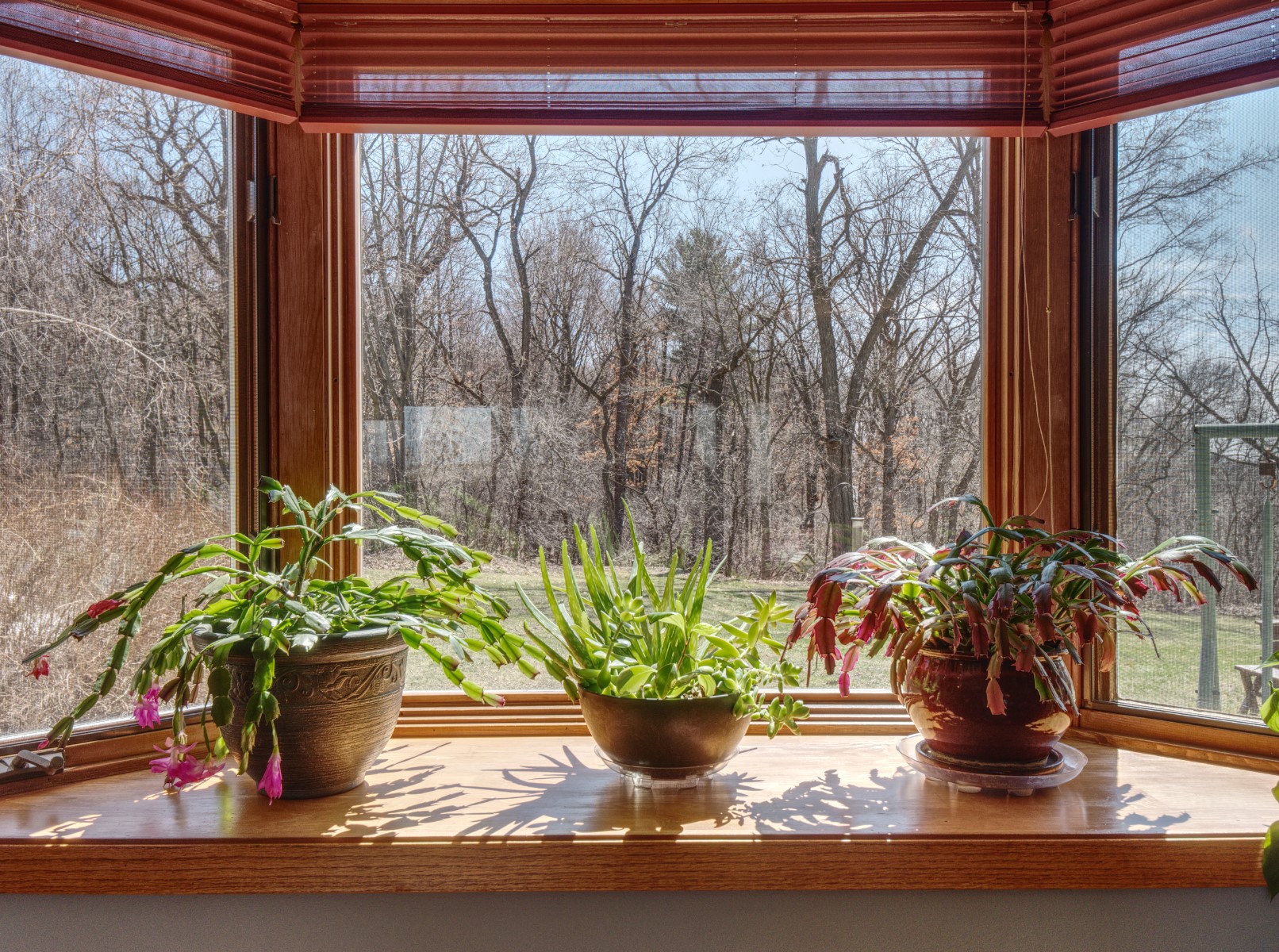 8439-Folsom-Eau-Claire-WI-54703-4 Residential at 8439 Folsom Street, Eau Claire, WI 54703 — photo 5