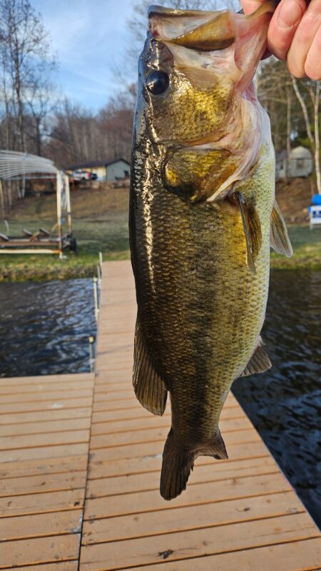 Residential at 8467 County Road P, Lake Nebagamon, WI 54849 — photo 25