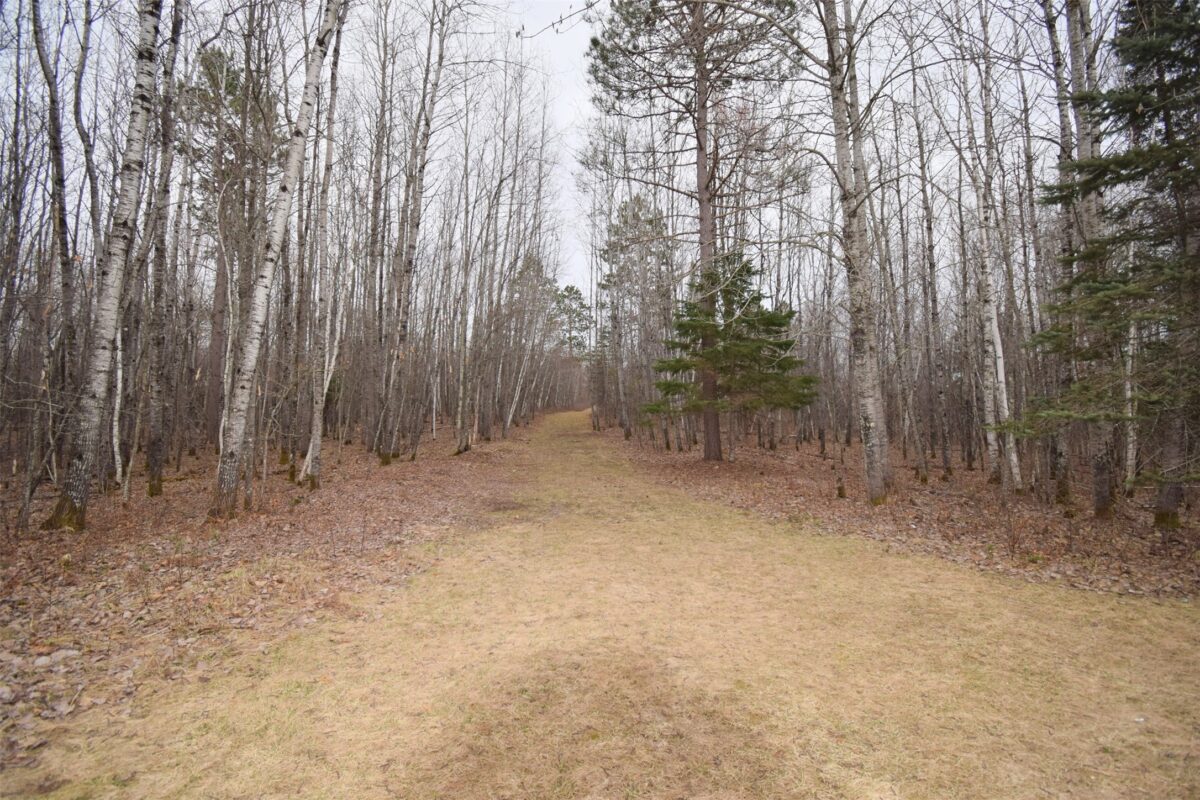 8539 W Christensen Road Trego WI 54888 — photo 54