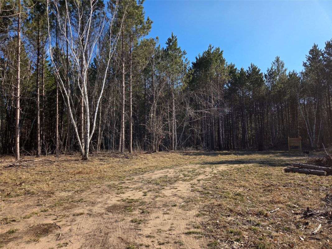 Land at 8552 Black Brook Road, Webster, WI 54893 — photo 11