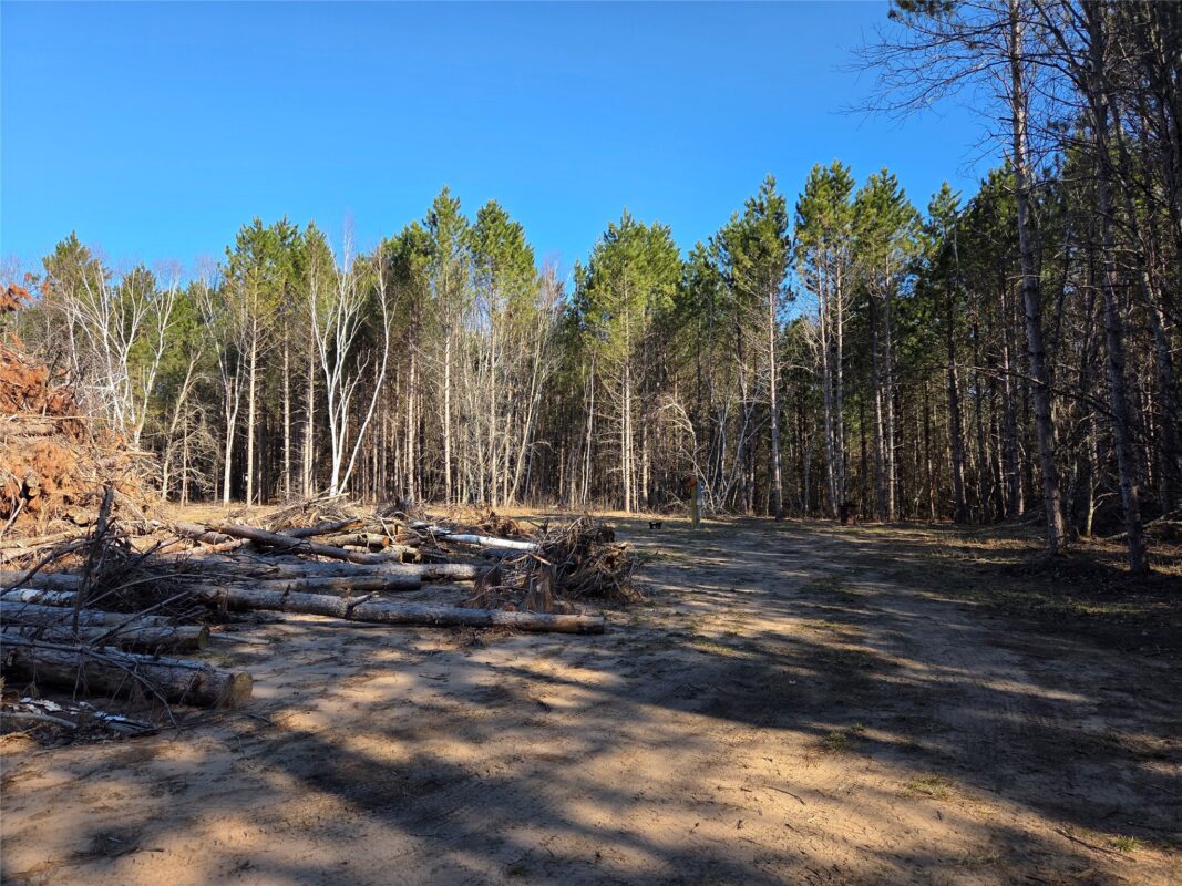 Land at 8552 Black Brook Road, Webster, WI 54893 — photo 12