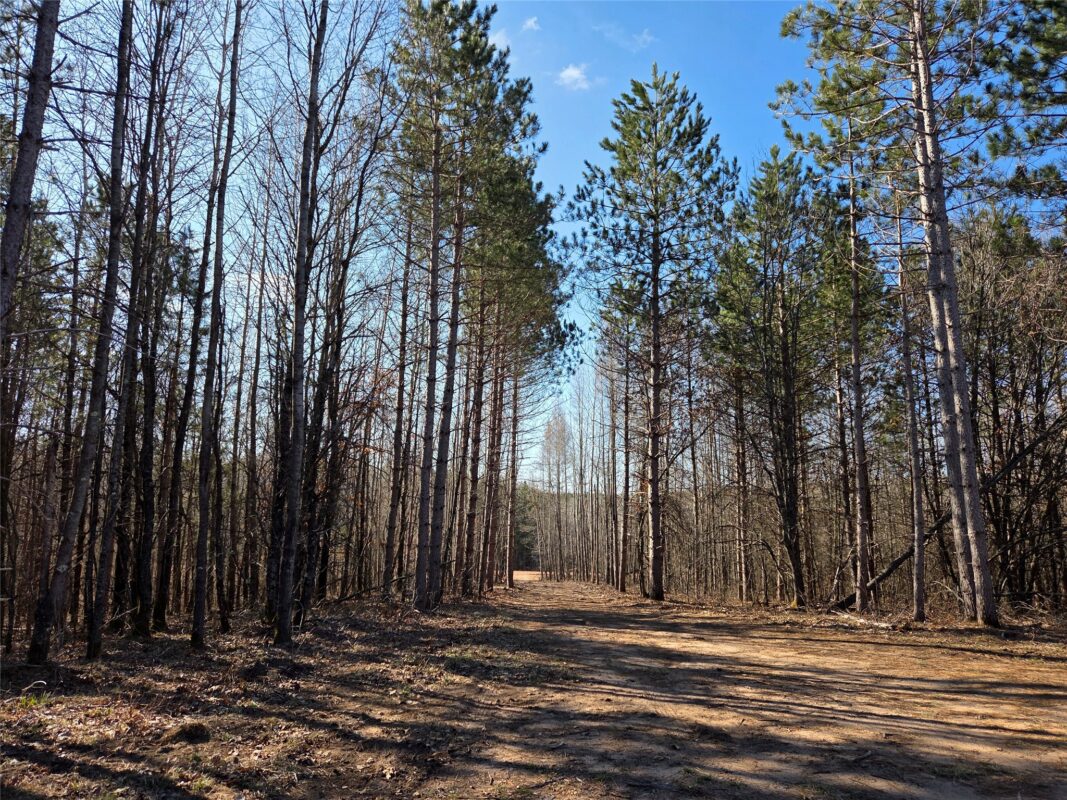 Land at 8552 Black Brook Road, Webster, WI 54893 — photo 13