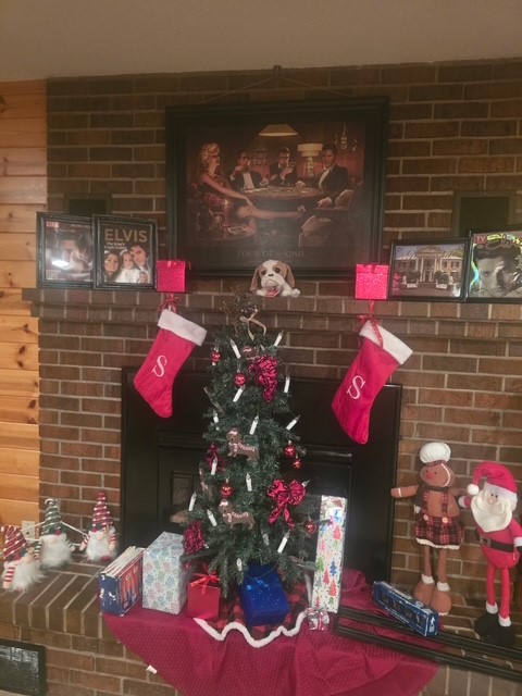 8645 Olsen Road, Webster, WI