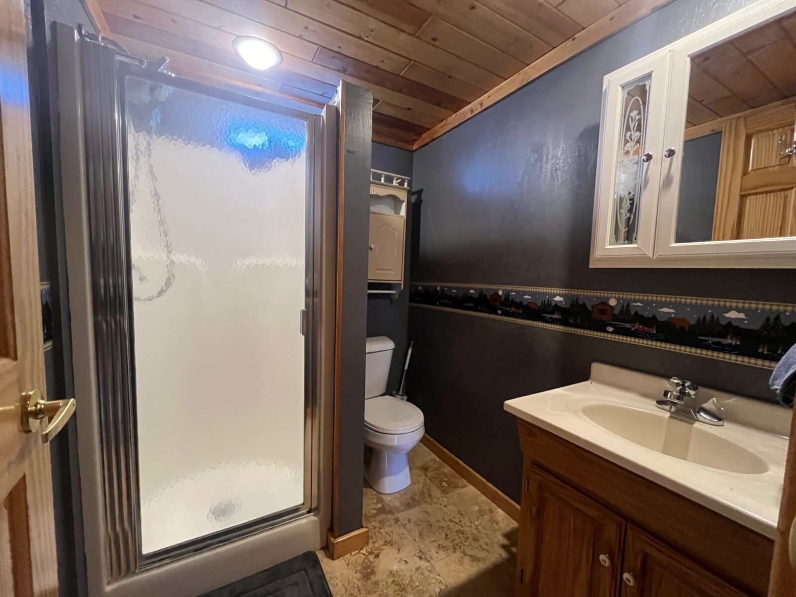 8645 Olsen Road, Webster, WI