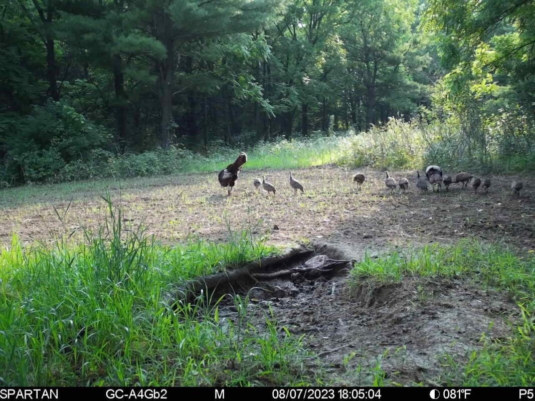 890 S Independence Road, Independence, WI — photo 19