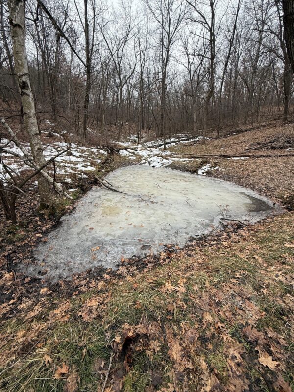 890 S Independence Road, Independence, WI — photo 26