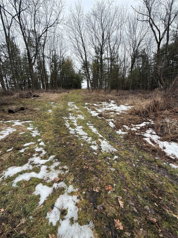 890 S Independence Road, Independence, WI — photo 30