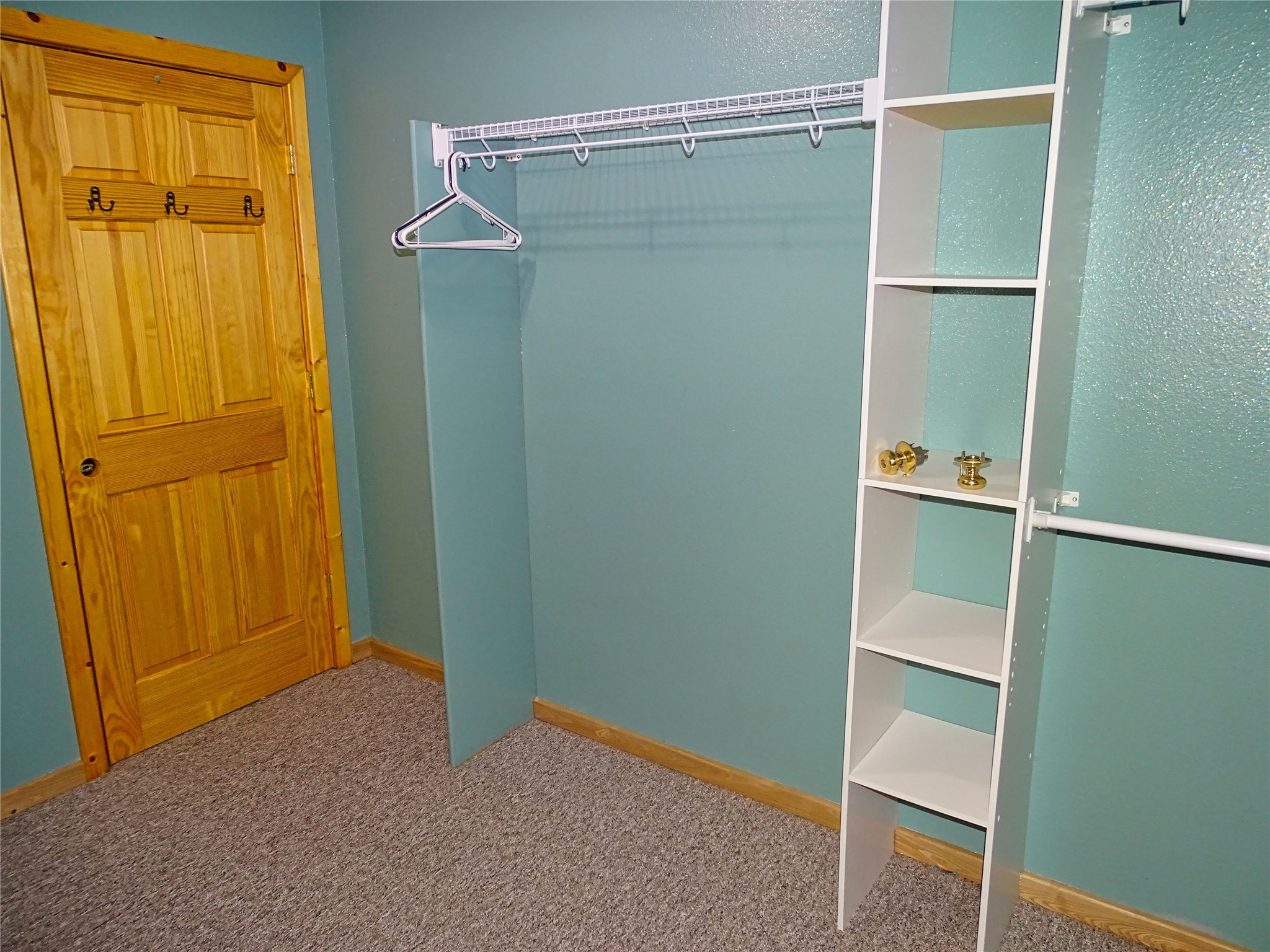 8920-Larson-Hayward-WI-54843-9