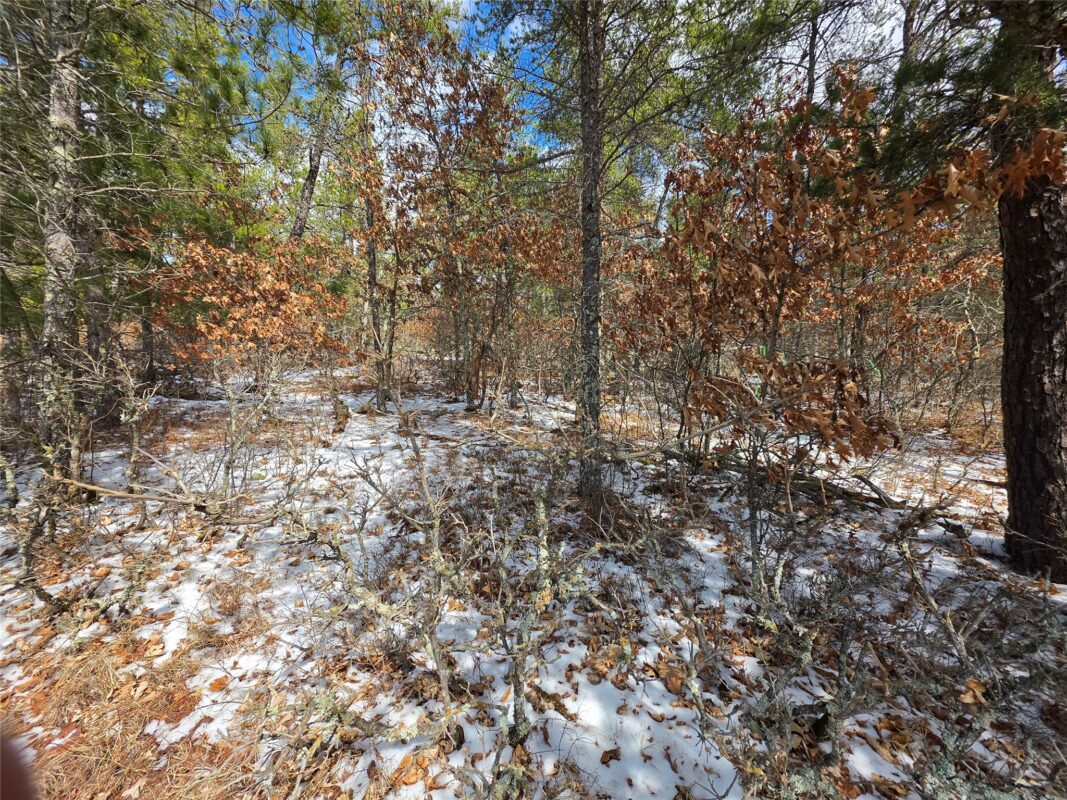 9075 W Wood Duck Lane Minong WI 54859 — photo 2