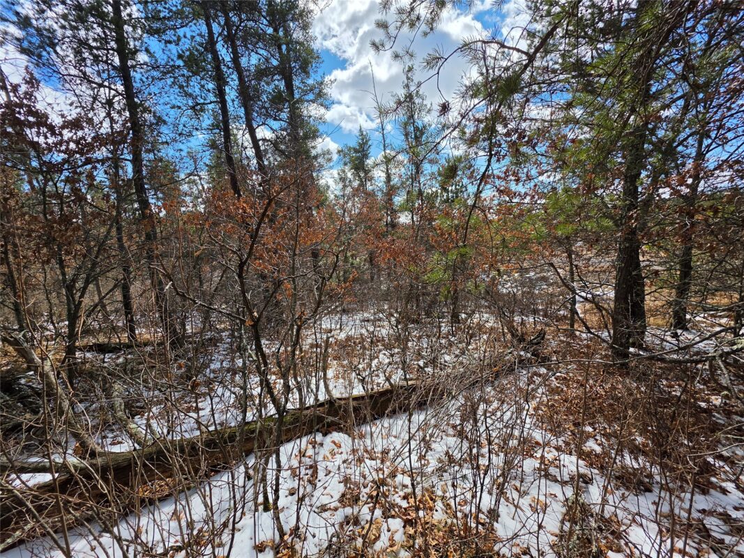 9075 W Wood Duck Lane Minong WI 54859 — photo 3