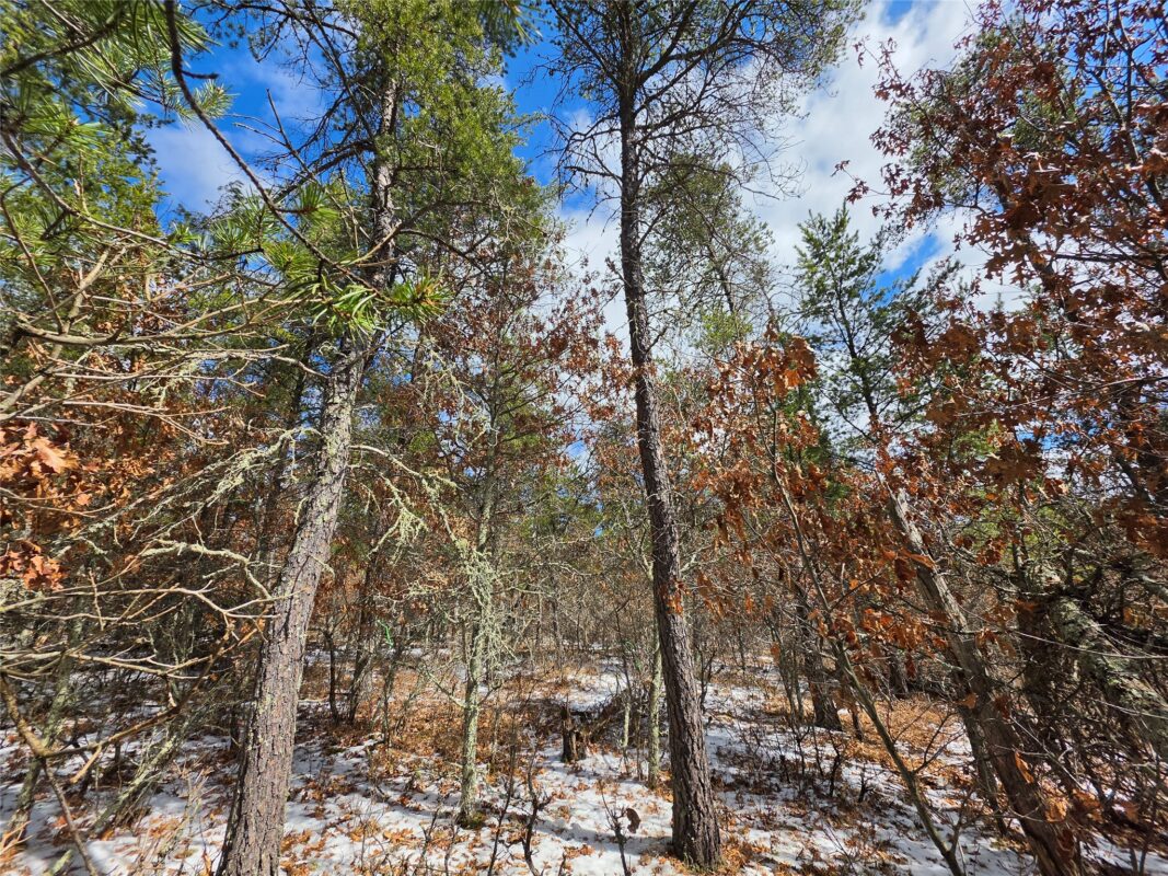 9075 W Wood Duck Lane Minong WI 54859 — photo 5