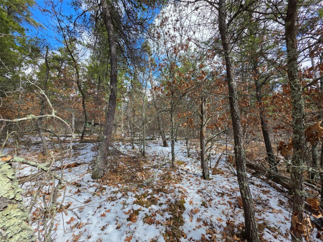 9075 W Wood Duck Lane Minong WI 54859 — photo 6