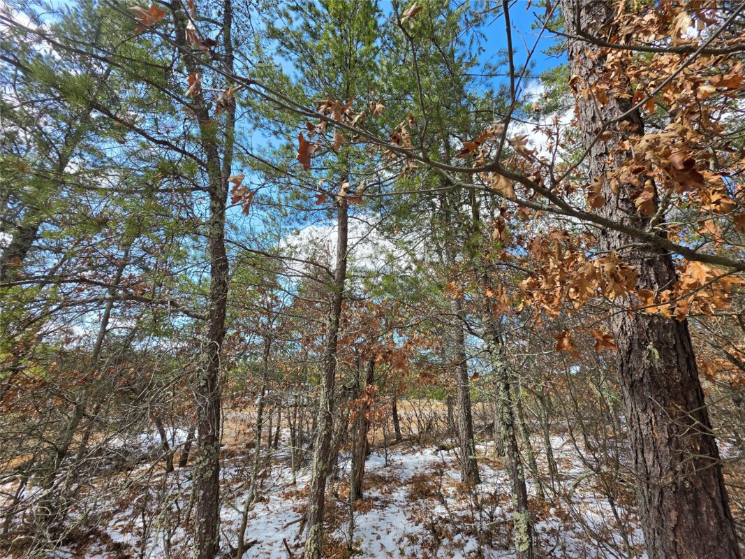 9075 W Wood Duck Lane Minong WI 54859 — photo 7