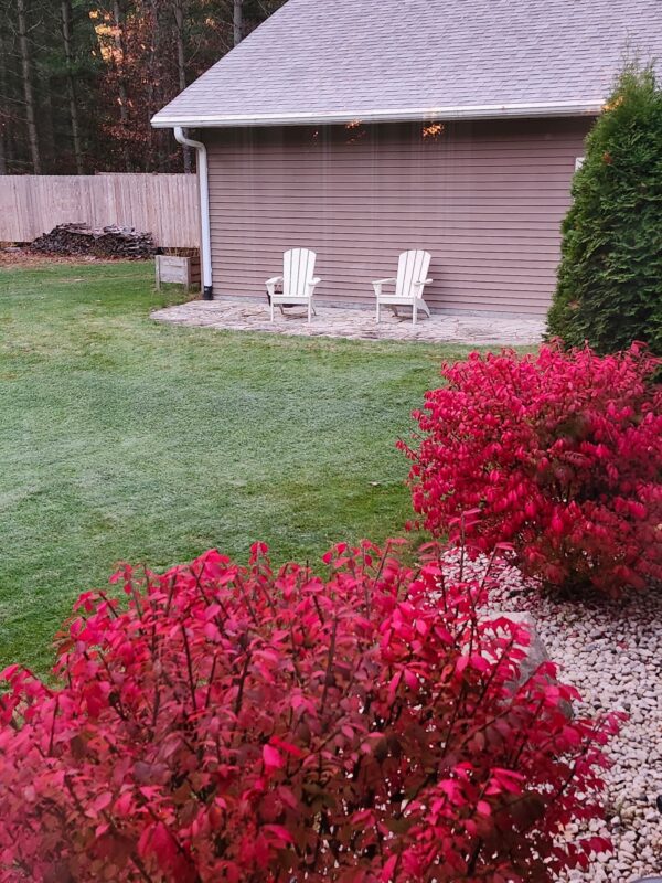 909 Thistle Lane Eau Claire WI 54703 — photo 59