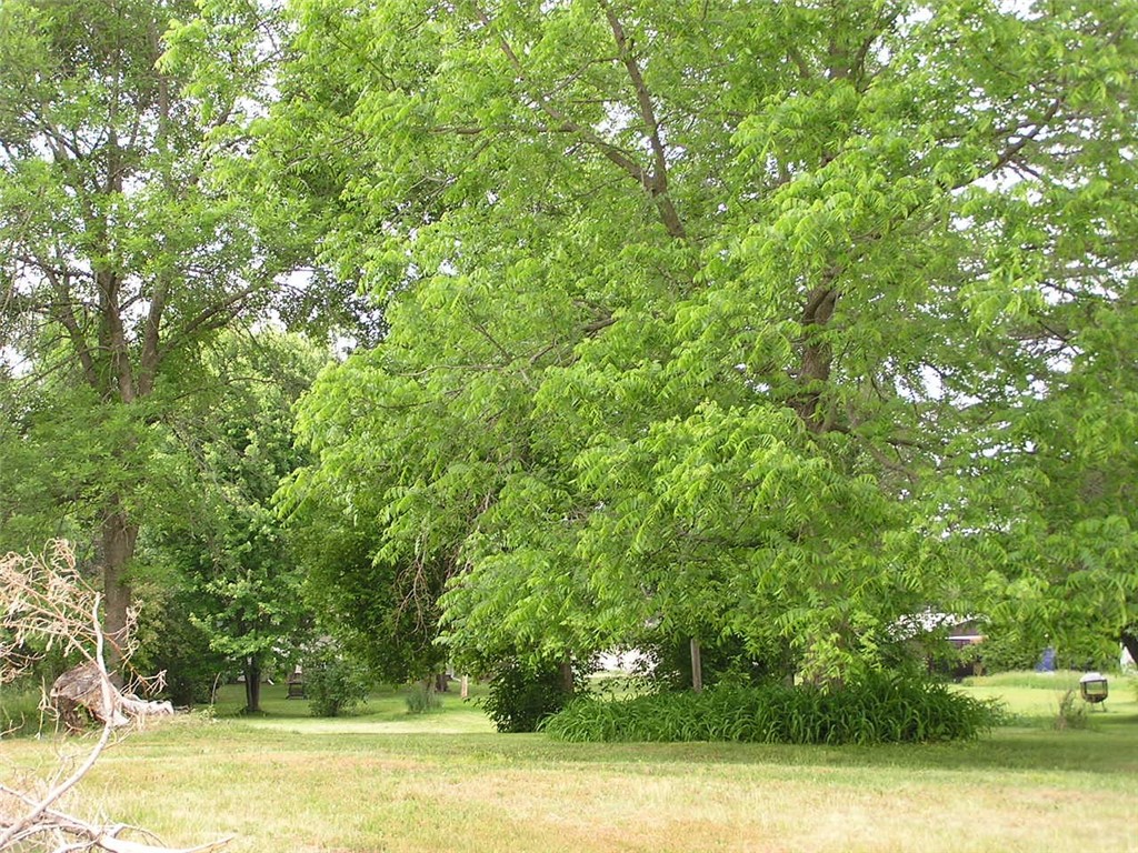 Residential at 916 4th Street, Ladysmith, WI 54848 — photo 2