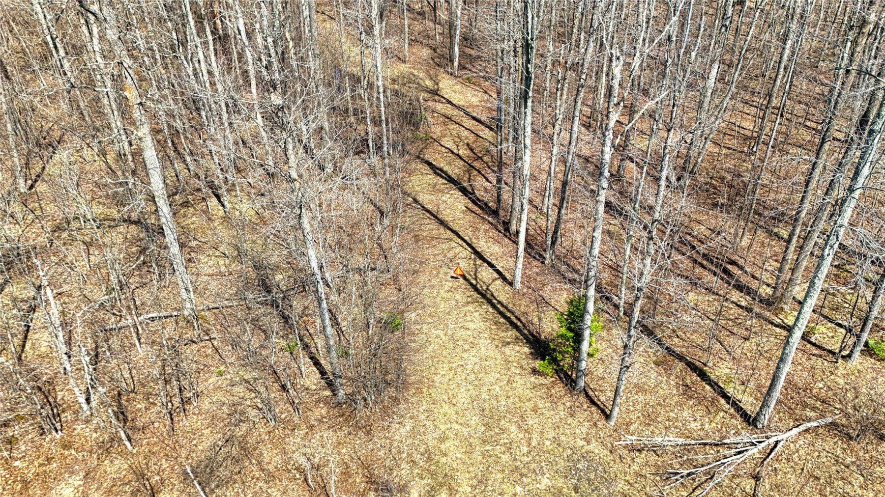 9220 W Scout Trail, Ojibwa, WI — photo 11