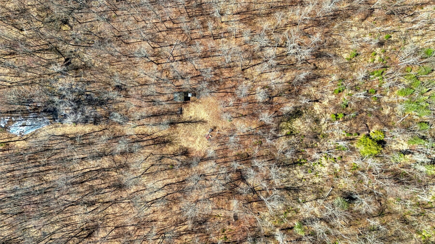 9220 W Scout Trail, Ojibwa, WI — photo 21