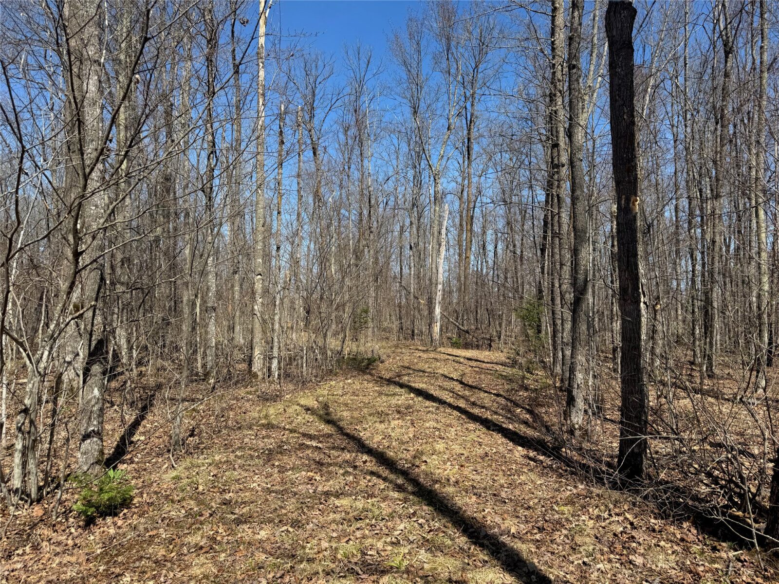 9220 W Scout Trail, Ojibwa, WI — photo 23