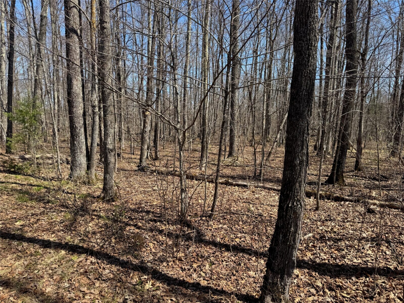 9220 W Scout Trail, Ojibwa, WI — photo 24