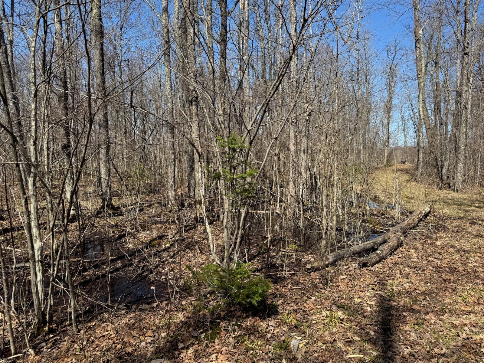9220 W Scout Trail, Ojibwa, WI — photo 25