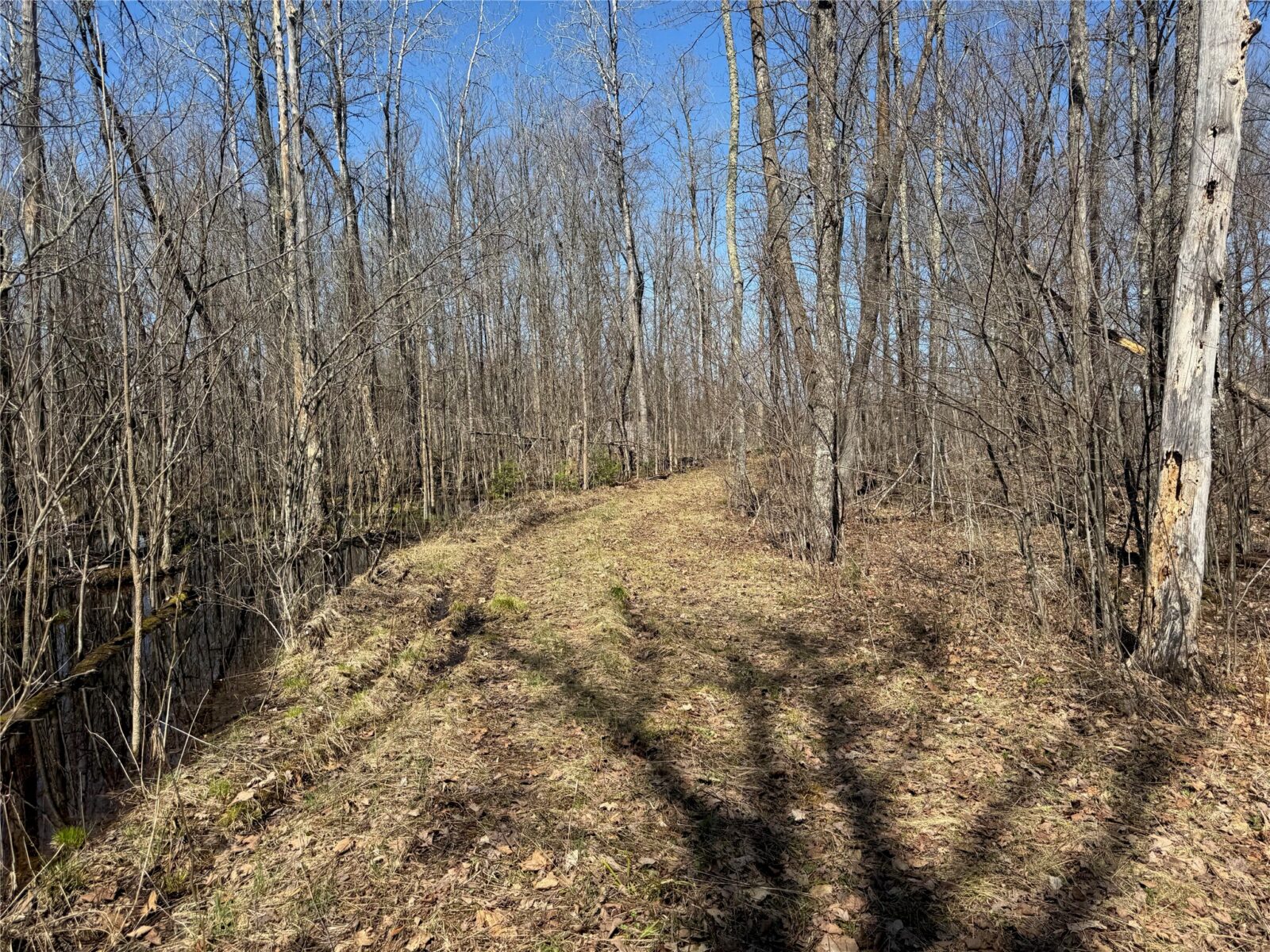 9220 W Scout Trail, Ojibwa, WI — photo 26