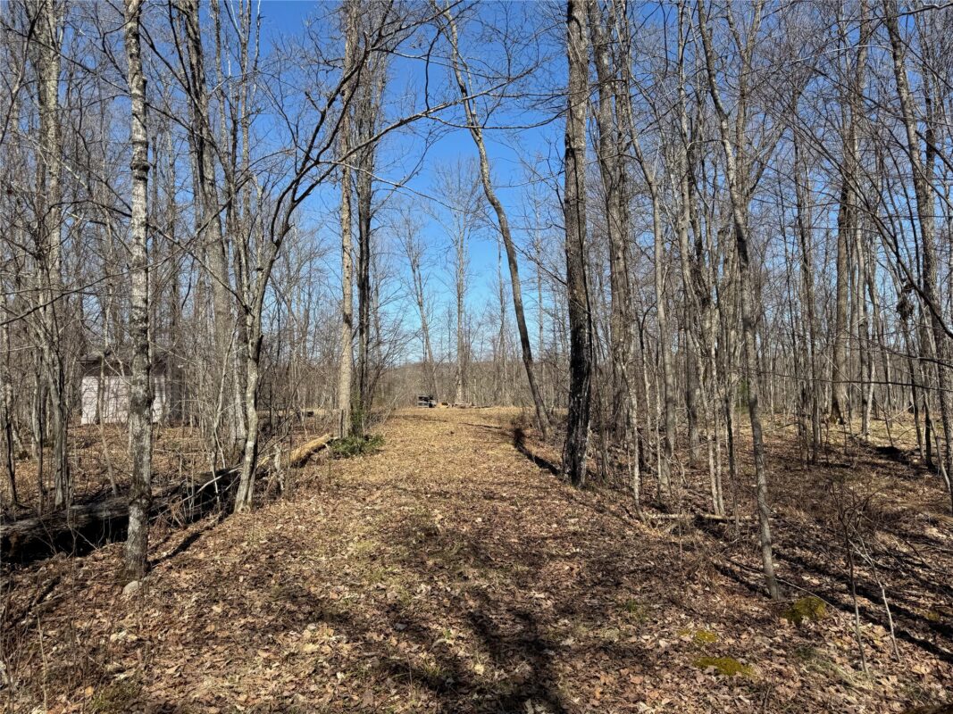 9220 W Scout Trail, Ojibwa, WI — photo 27