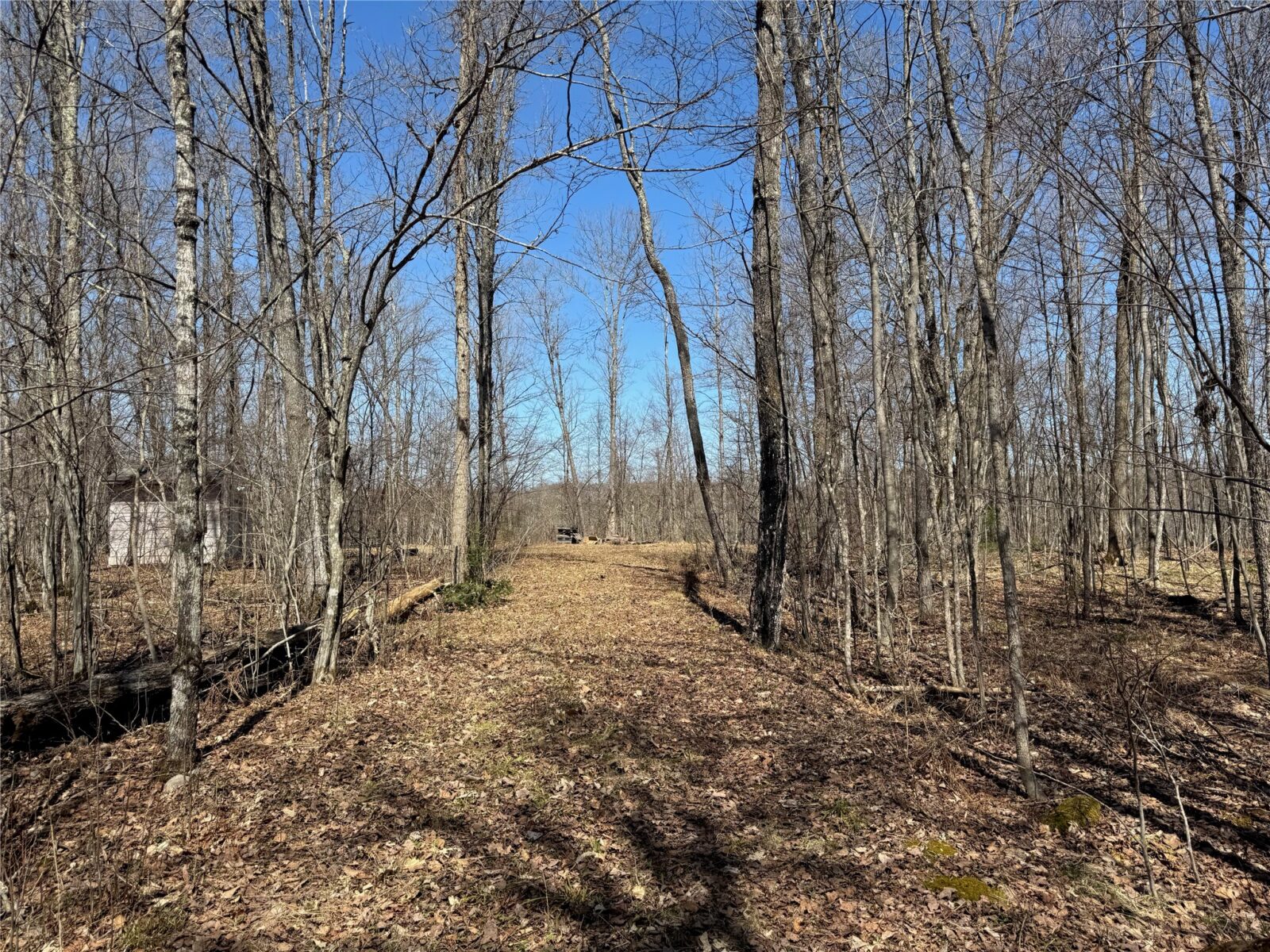 9220 W Scout Trail, Ojibwa, WI — photo 27
