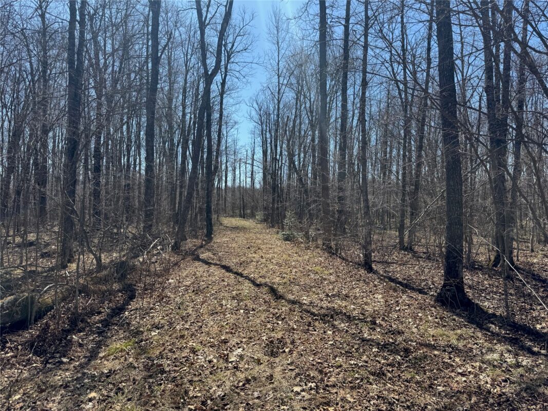 9220 W Scout Trail, Ojibwa, WI — photo 30