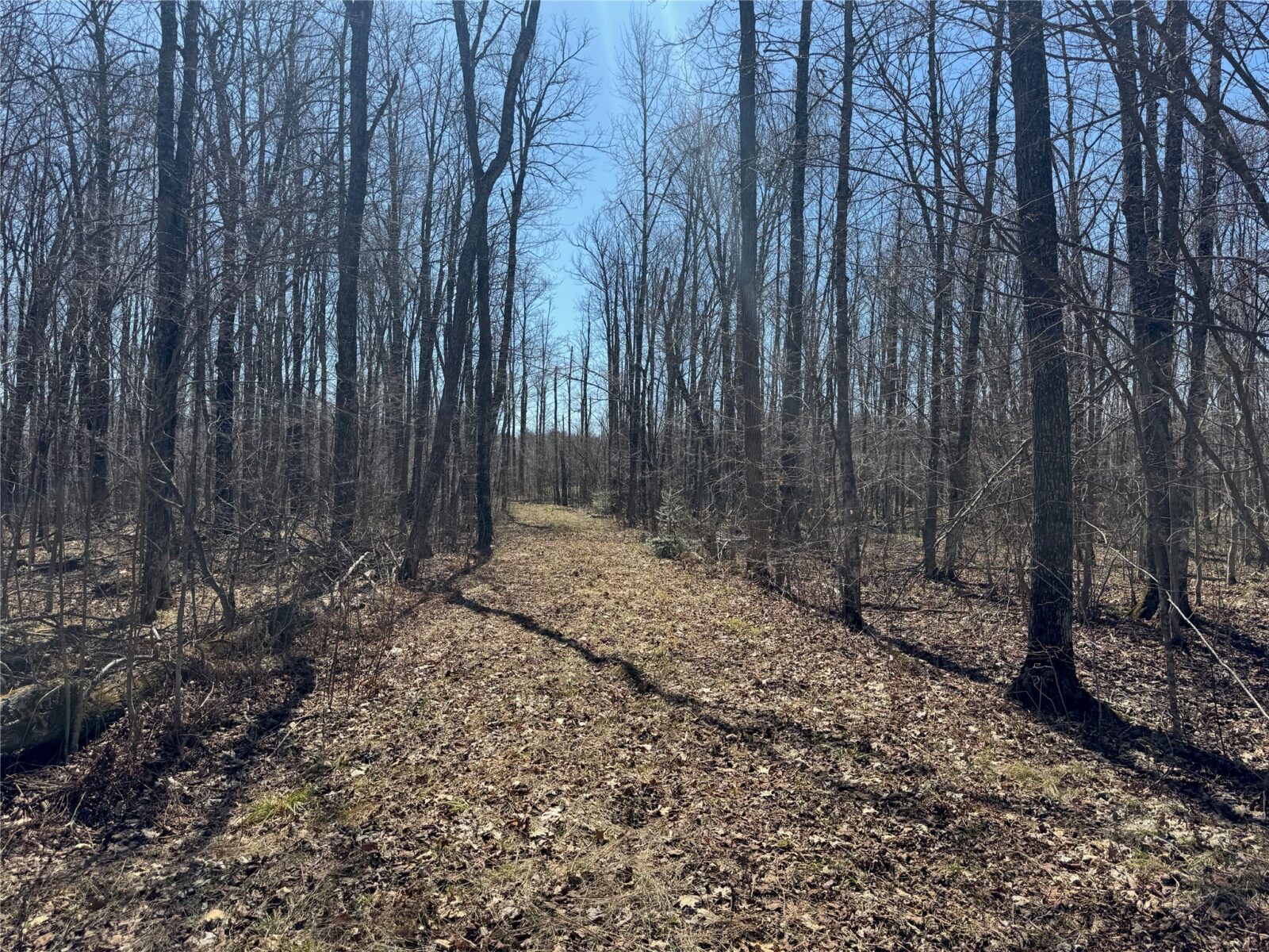 9220 W Scout Trail, Ojibwa, WI — photo 30