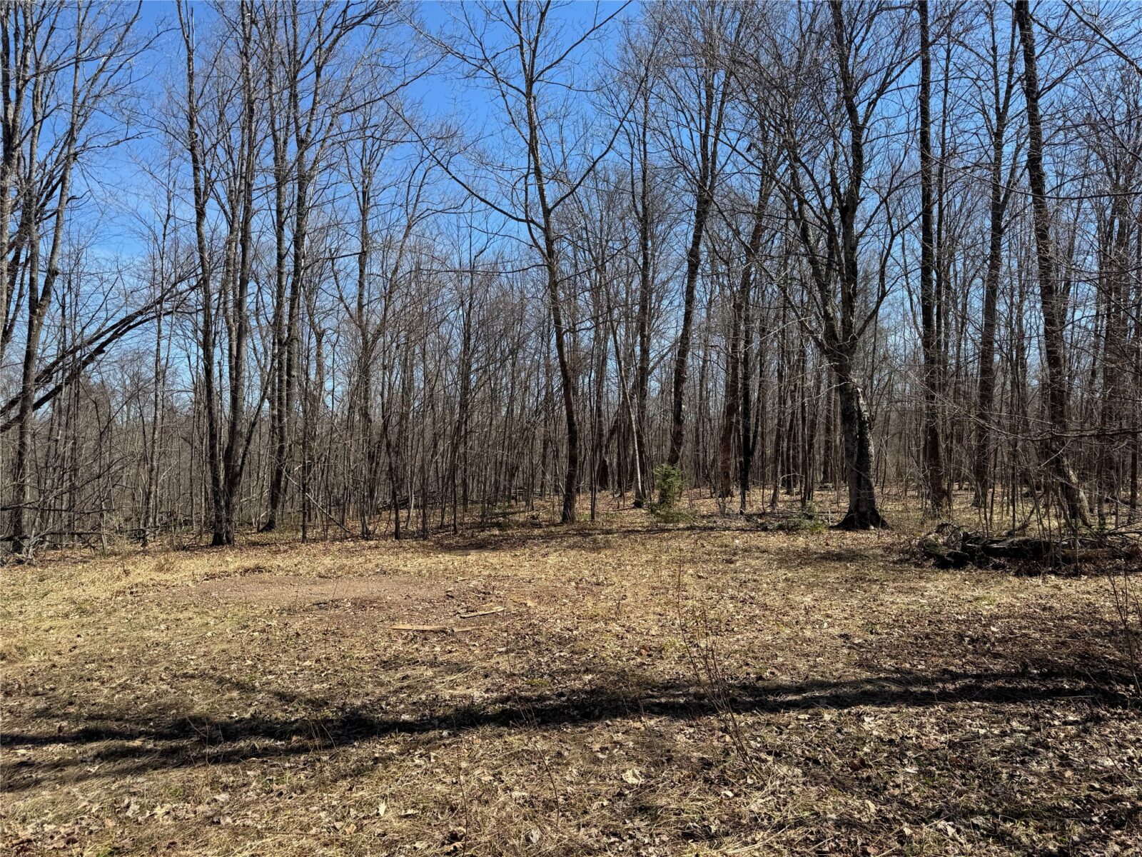 9220 W Scout Trail, Ojibwa, WI — photo 31