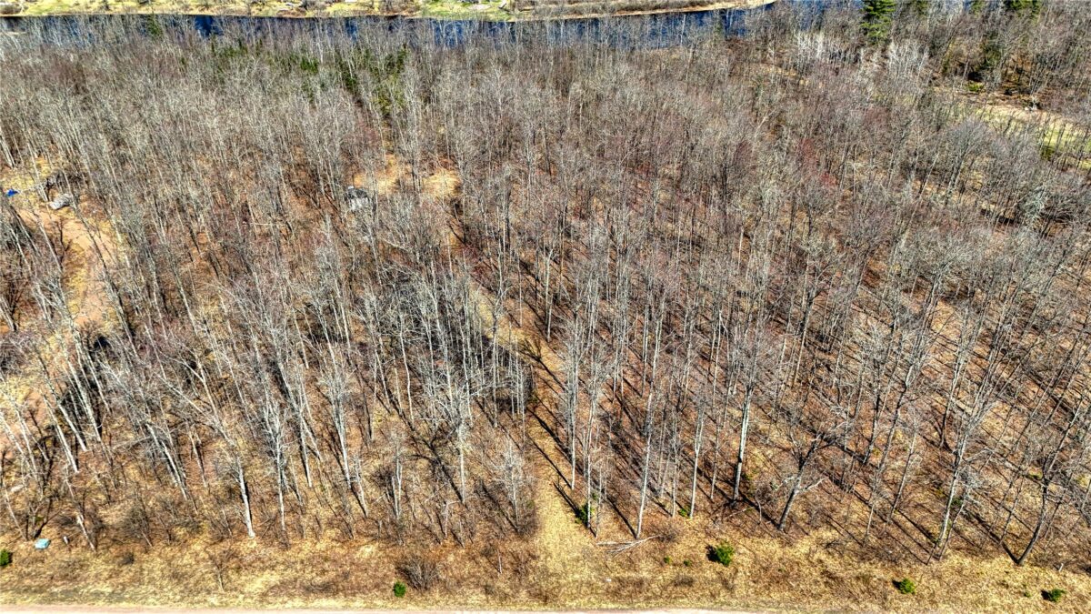 9220 W Scout Trail, Ojibwa, WI — photo 4