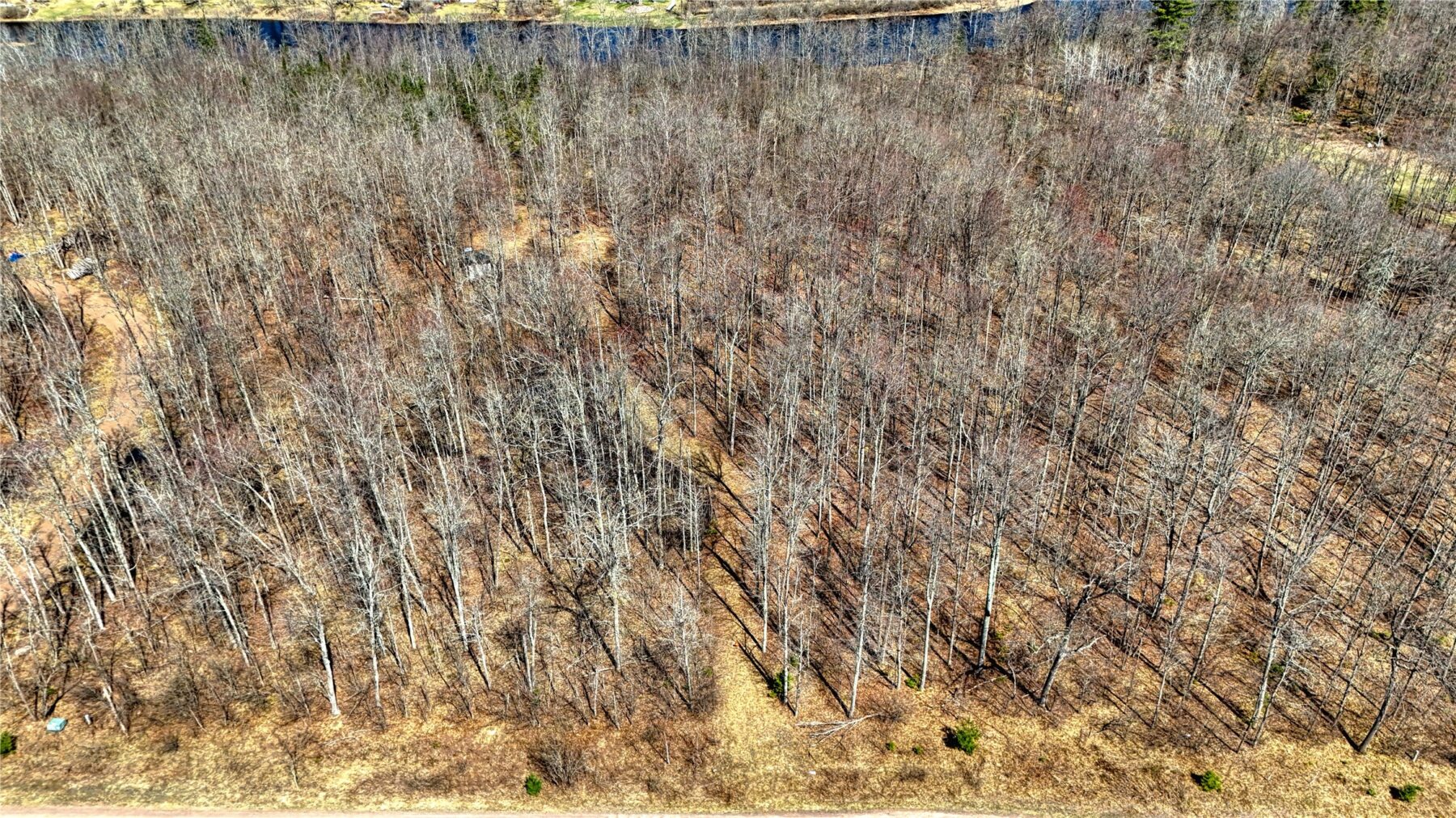 9220 W Scout Trail, Ojibwa, WI — photo 4