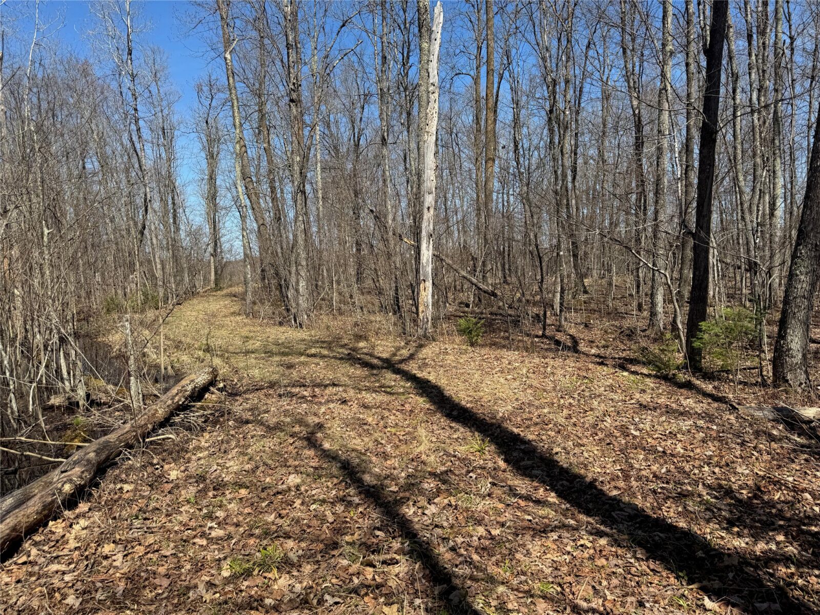 9220 W Scout Trail, Ojibwa, WI — photo 6