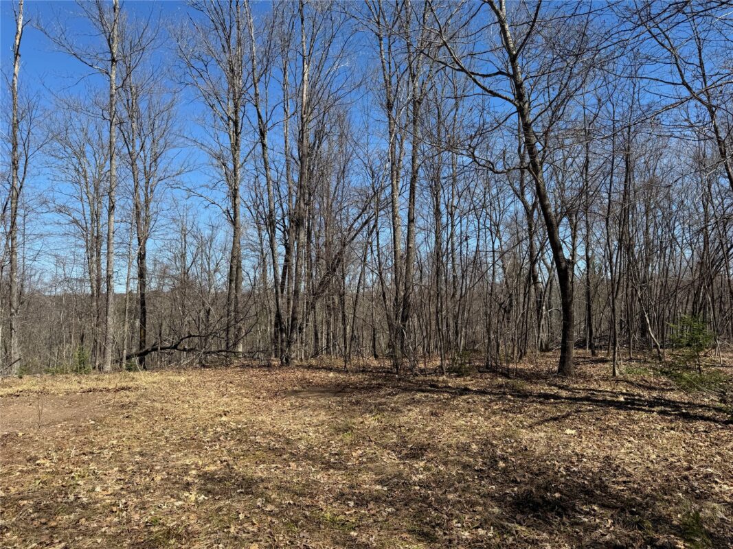 9220 W Scout Trail, Ojibwa, WI — photo 7