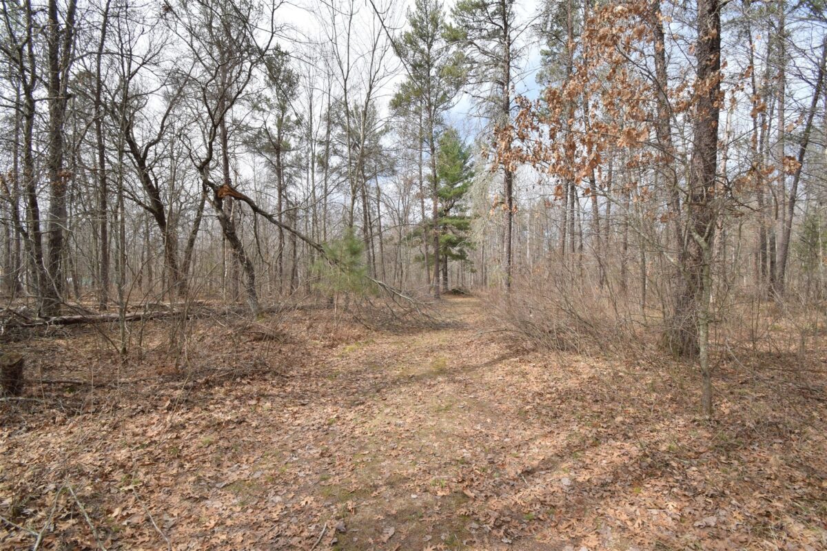 9274 Black Brook Road Webster WI 54893 — photo 20