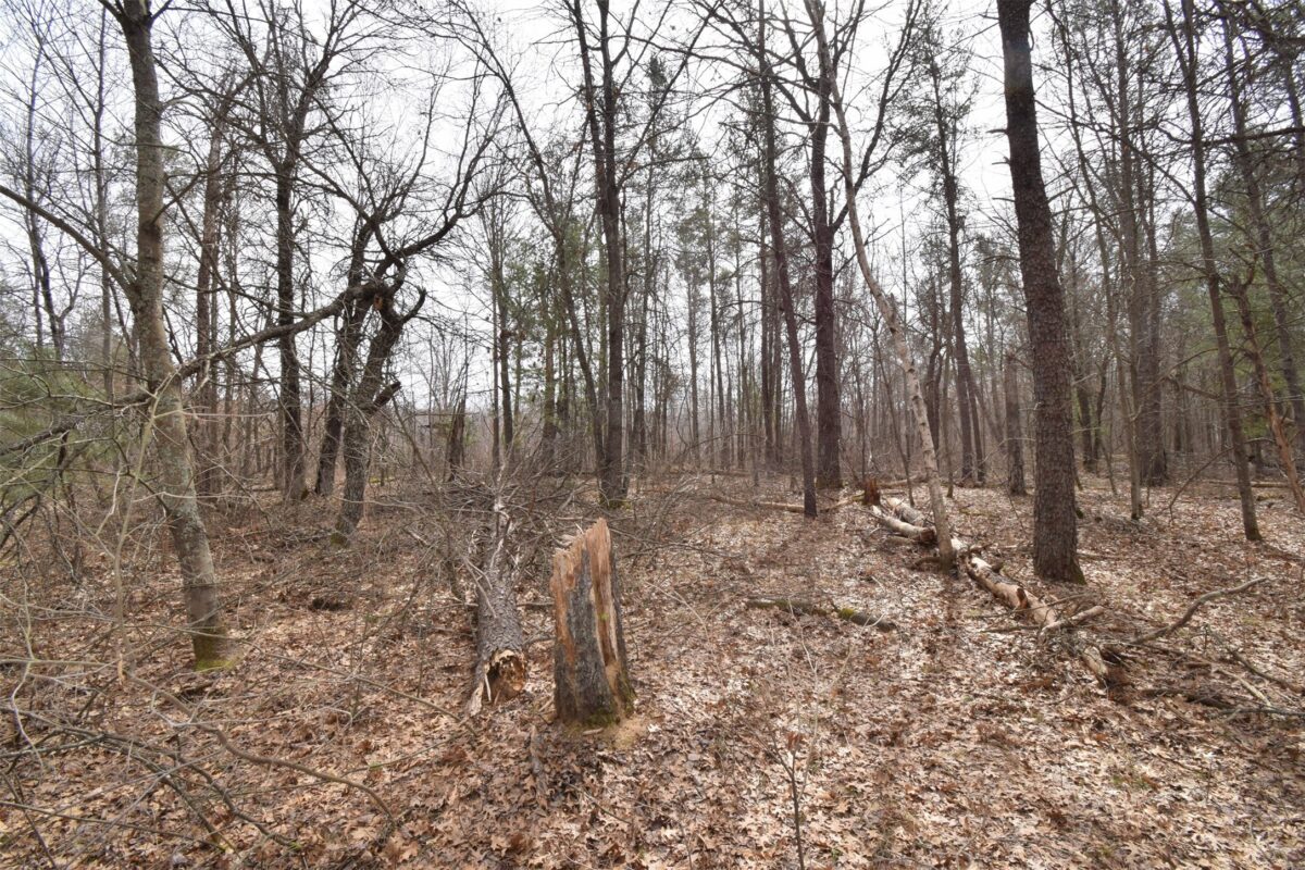 9274 Black Brook Road Webster WI 54893 — photo 22