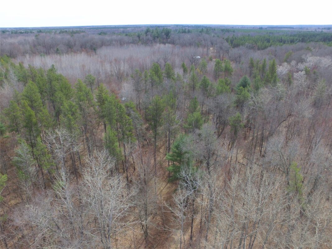 9274 Black Brook Road Webster WI 54893 — photo 24