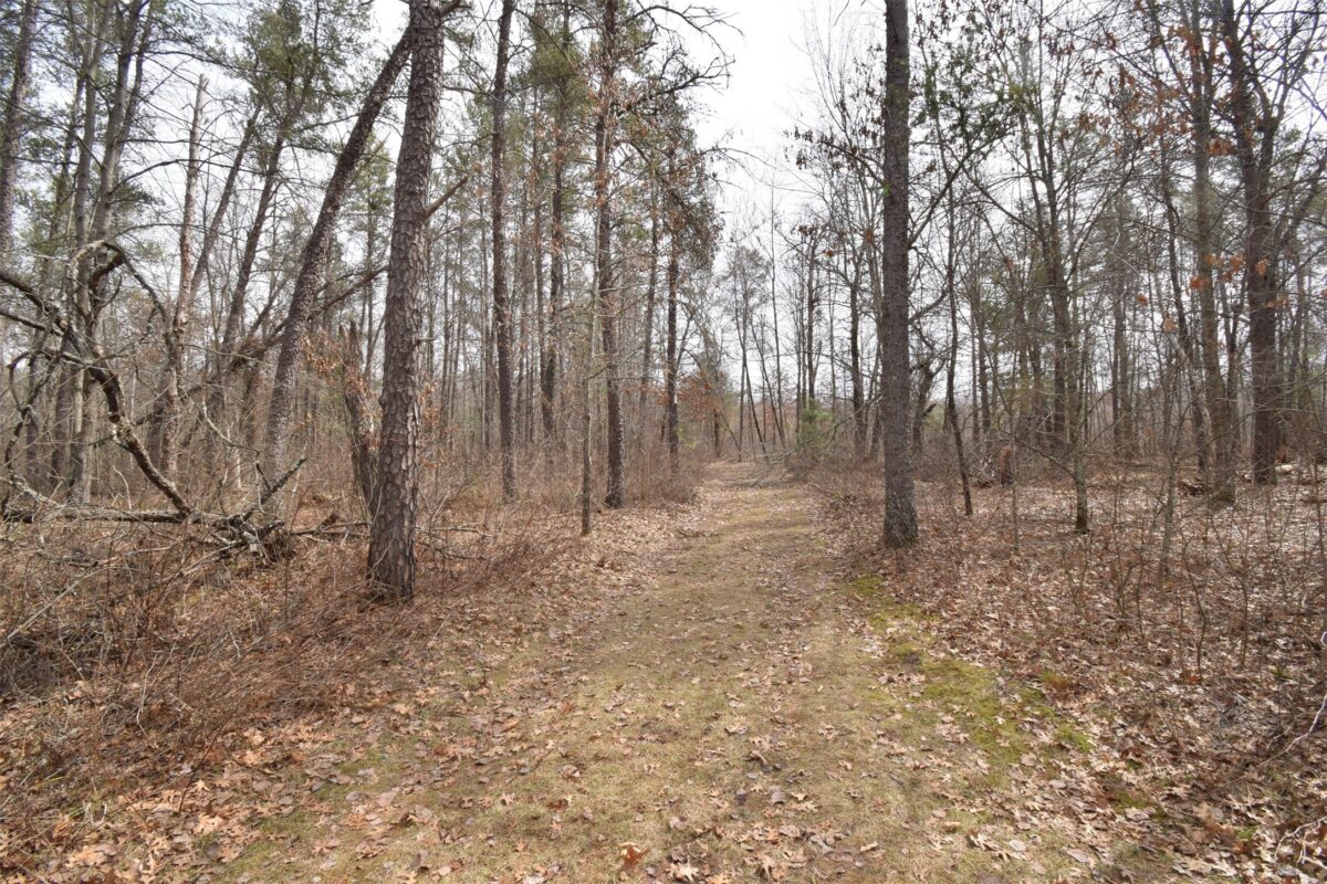 9274 Black Brook Road Webster WI 54893 — photo 26