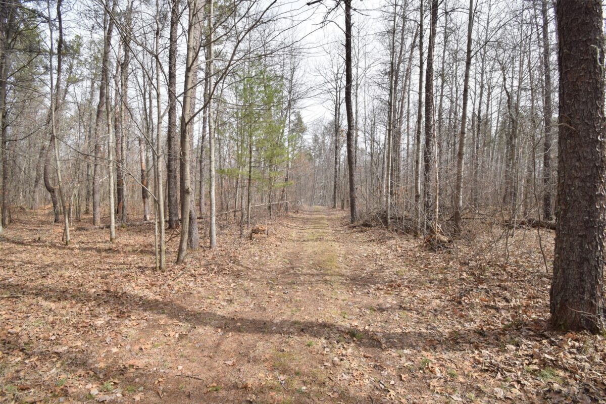 9274 Black Brook Road Webster WI 54893 — photo 28