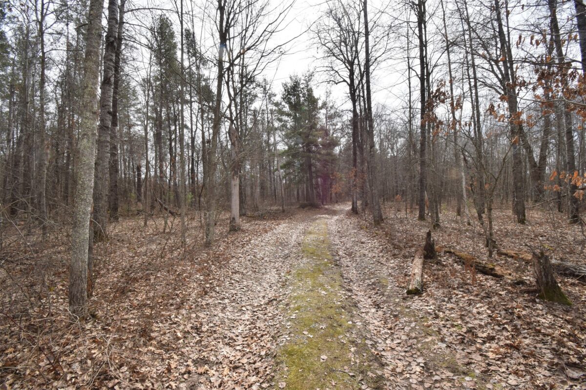 9274 Black Brook Road Webster WI 54893 — photo 31