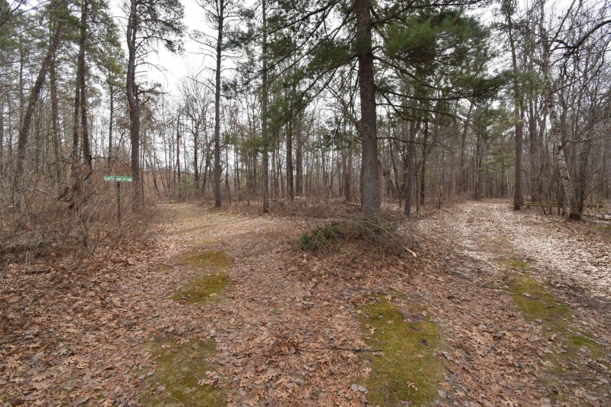 9274 Black Brook Road Webster WI 54893 — photo 32