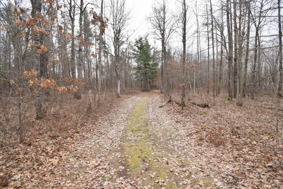 9274 Black Brook Road Webster WI 54893 — photo 36