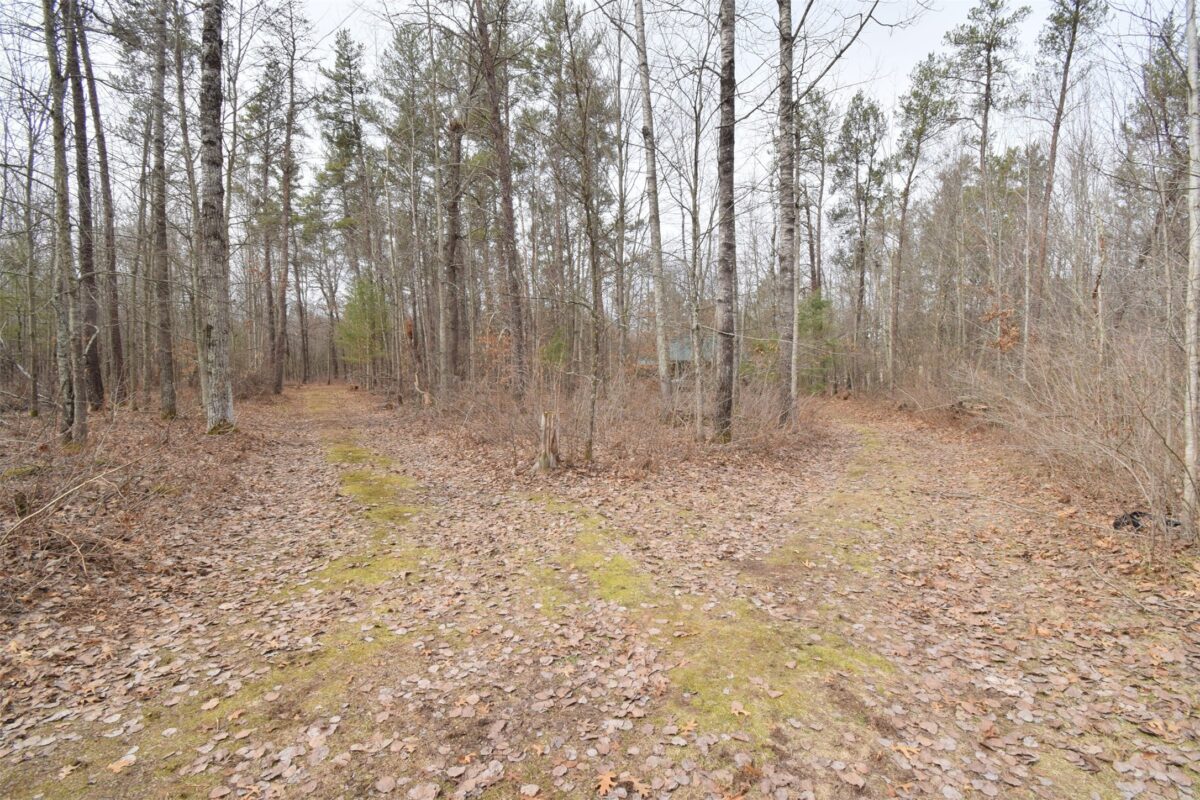 9274 Black Brook Road Webster WI 54893 — photo 38